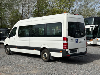 Mercedes-Benz Sprinter 316 CDi  (516 CDi, Klima)  - Minibusz, Kisbusz: 2 kép.