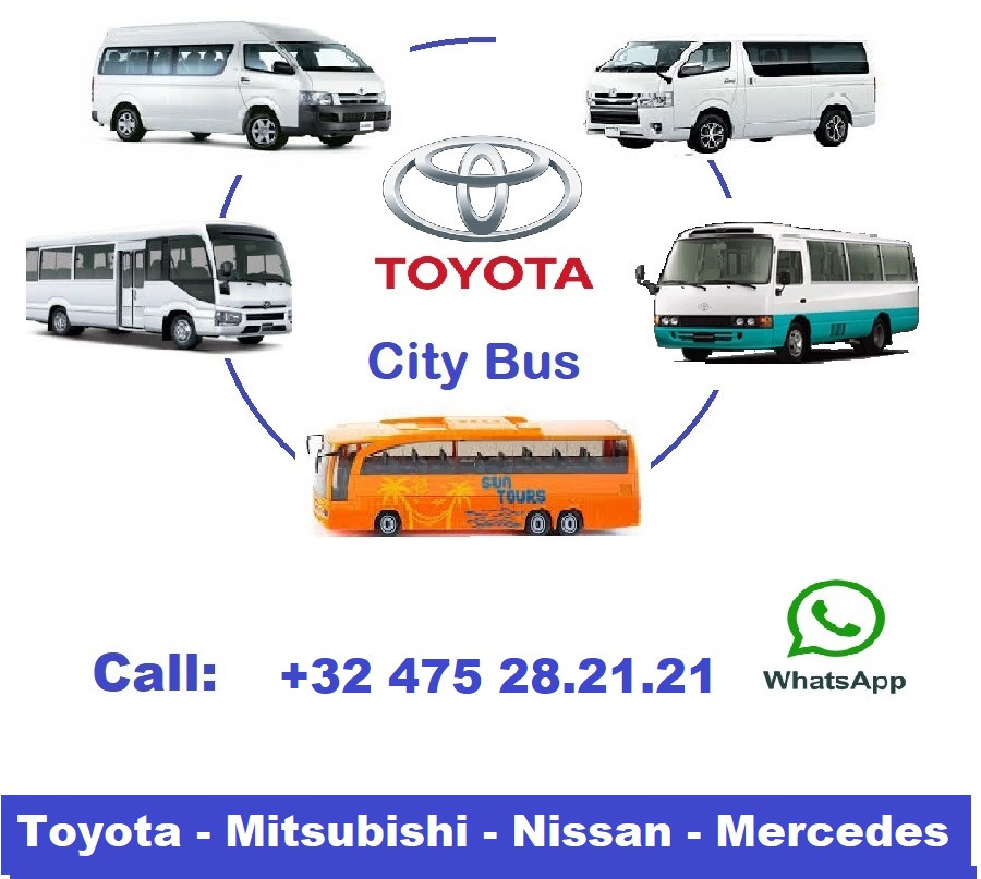 Minibusz, Kisbusz TOYOTA Coaster ... 30 places: 7 kép.