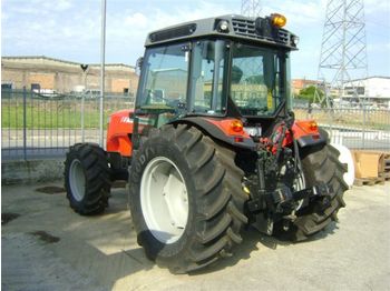 MASSEY FERGUSON 3655 frutteto dt - Traktor