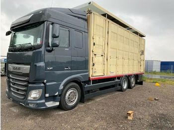 Állatszállító teherautó DAF XF 480 "Neu" Menke 3 Stock Hubdach