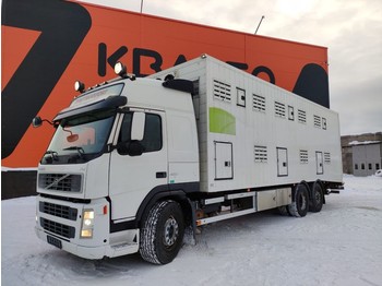 Volvo FM 420 6x2 - állatszállító teherautó
