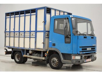 Állatszállító teherautó Iveco 65E14: 3 kép.