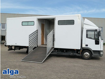 Iveco ML 75E14, 3x Pferdeboxen, AC, Schlafabteil, AHK  - Lószállító kamion