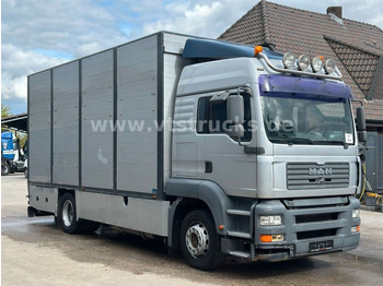 Állatszállító teherautó MAN TGA 18.390 4x2 1.Stock Cuppers Viehtransporter: 3 kép.