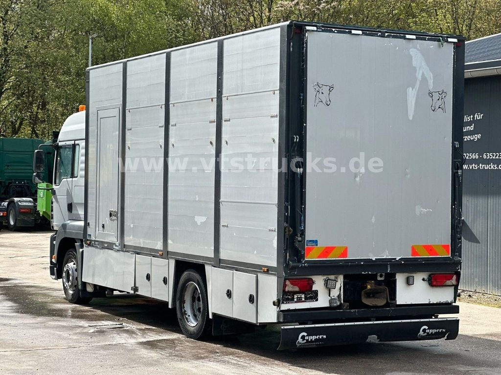 Állatszállító teherautó MAN TGA 18.390 4x2 1.Stock Cuppers Viehtransporter: 6 kép.