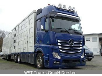 Állatszállító teherautó Mercedes-Benz Actros  2551 Menke 4 Stock Vollalu Hubach: 1 kép.