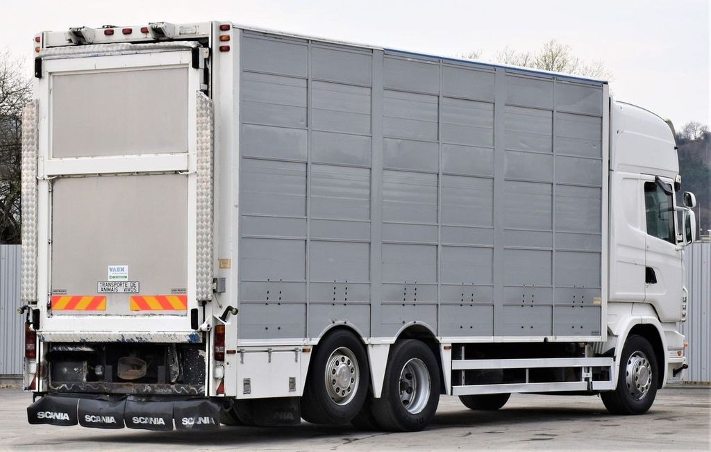 Állatszállító teherautó Scania R 500 TIERTRANSPORTWAGEN 7,10m / 4STOCK: 5 kép.