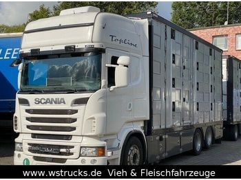 Állatszállító teherautó Scania R 560 Topline Menke 4 Stock Hubdach: 1 kép.