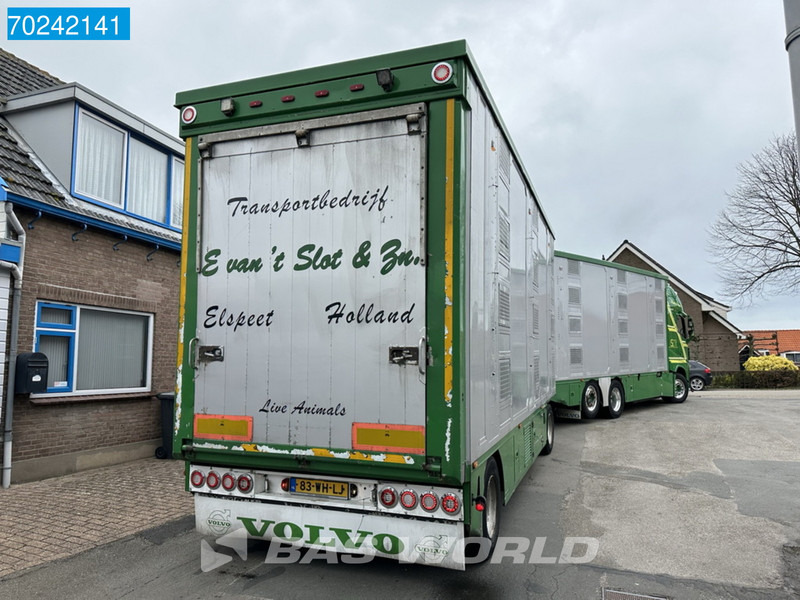 Állatszállító teherautó Volvo FH 540 6X2 NL-Truck Cattle transport I-Park Cool ACC Euro 6: 15 kép.