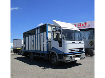 Állatszállító teherautó IVECO EuroCargo 80E