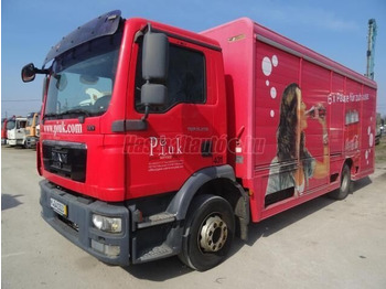MAN TGM 15.250 - Dobozos felépítményű teherautó: 1 kép.