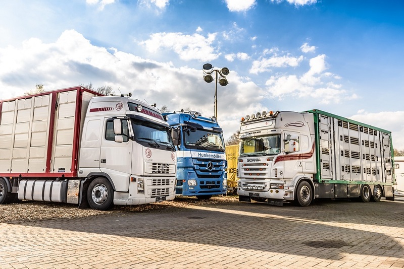 WS Trucks GmbH - eladó járművek undefined: 1 kép.
