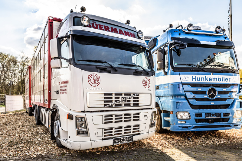 WS Trucks GmbH - eladó járművek undefined: 2 kép.
