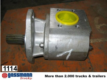 : fejléc fényképe