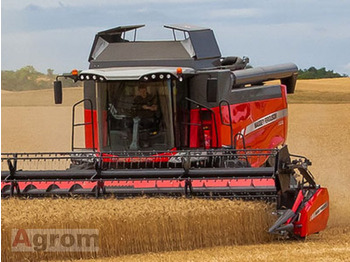 Kombájn MASSEY FERGUSON
