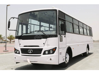 Busz