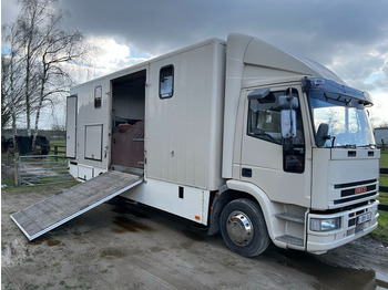 Lószállító kamion IVECO