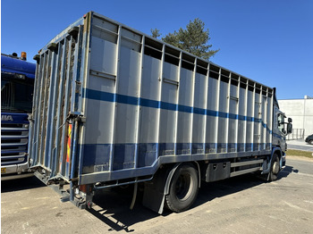 Állatszállító teherautó Scania P310 4x2 ANIMAL TRANSPORT - ALU BOX 7m - MANUAL - AIR SUSPENSION - A/C - BELGIAN TRUCK: 4 kép.