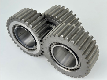 : fejléc fényképe