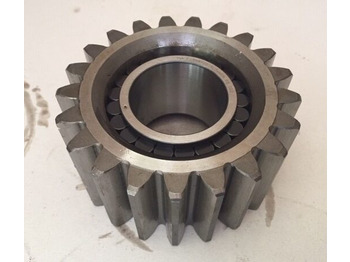 : fejléc fényképe