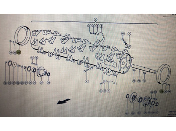 : fejléc fényképe