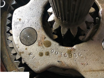 : fejléc fényképe