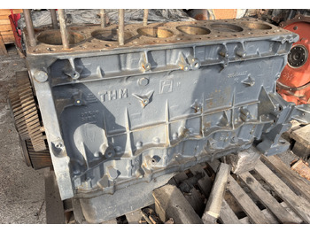 : fejléc fényképe