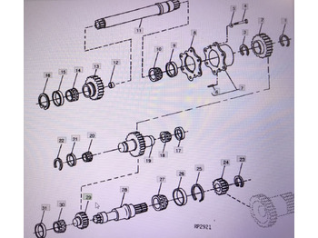 : fejléc fényképe