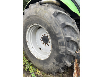 : fejléc fényképe