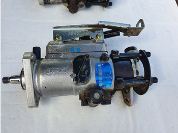 : fejléc fényképe