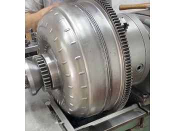 : fejléc fényképe