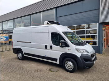 Hűtős kisteherautó FIAT Ducato Maxi