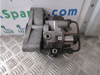 : fejléc fényképe