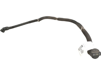 : fejléc fényképe