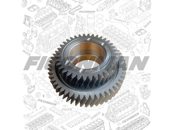 Motor és alkatrészek IVECO