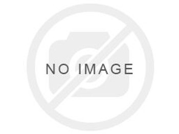 Motor LIEBHERR