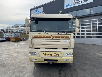 Állatszállító teherautó DAF CF410 4x2: 2 kép.