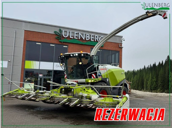 : fejléc fényképe