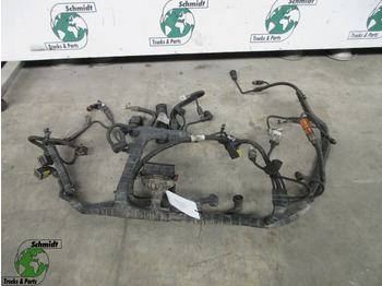 : fejléc fényképe