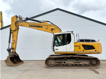 Lánctalpas kotró LIEBHERR R 924