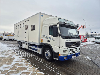 Lószállító kamion VOLVO FM 7 5 Horses / 3 People Live Cabin / 1 Owner / Serviced: 4 kép. Lószállító kamion VOLVO FM 7 5 Horses / 3 People Live Cabin / 1 Owner / Serviced: 4 kép.