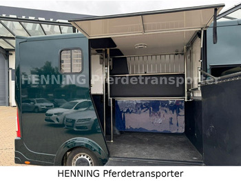 Renault Master 5 -  Sitzer Automatik  lízing Renault Master 5 -  Sitzer Automatik: 5 kép.
