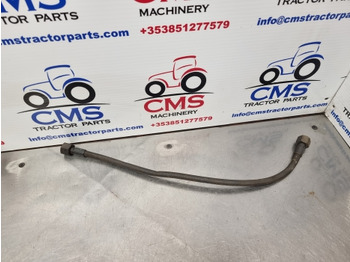 : fejléc fényképe