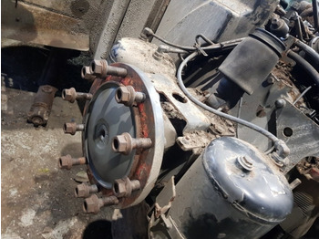 : fejléc fényképe