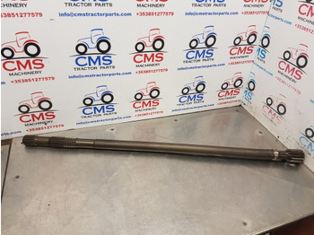 : fejléc fényképe