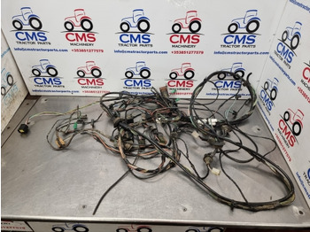 : fejléc fényképe