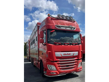 Állatszállító teherautó DAF XF 530