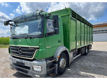 Állatszállító teherautó MERCEDES-BENZ Axor 1833