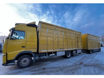 Állatszállító teherautó VOLVO FH 420