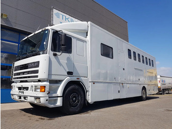 Lószállító kamion DAF 95 350